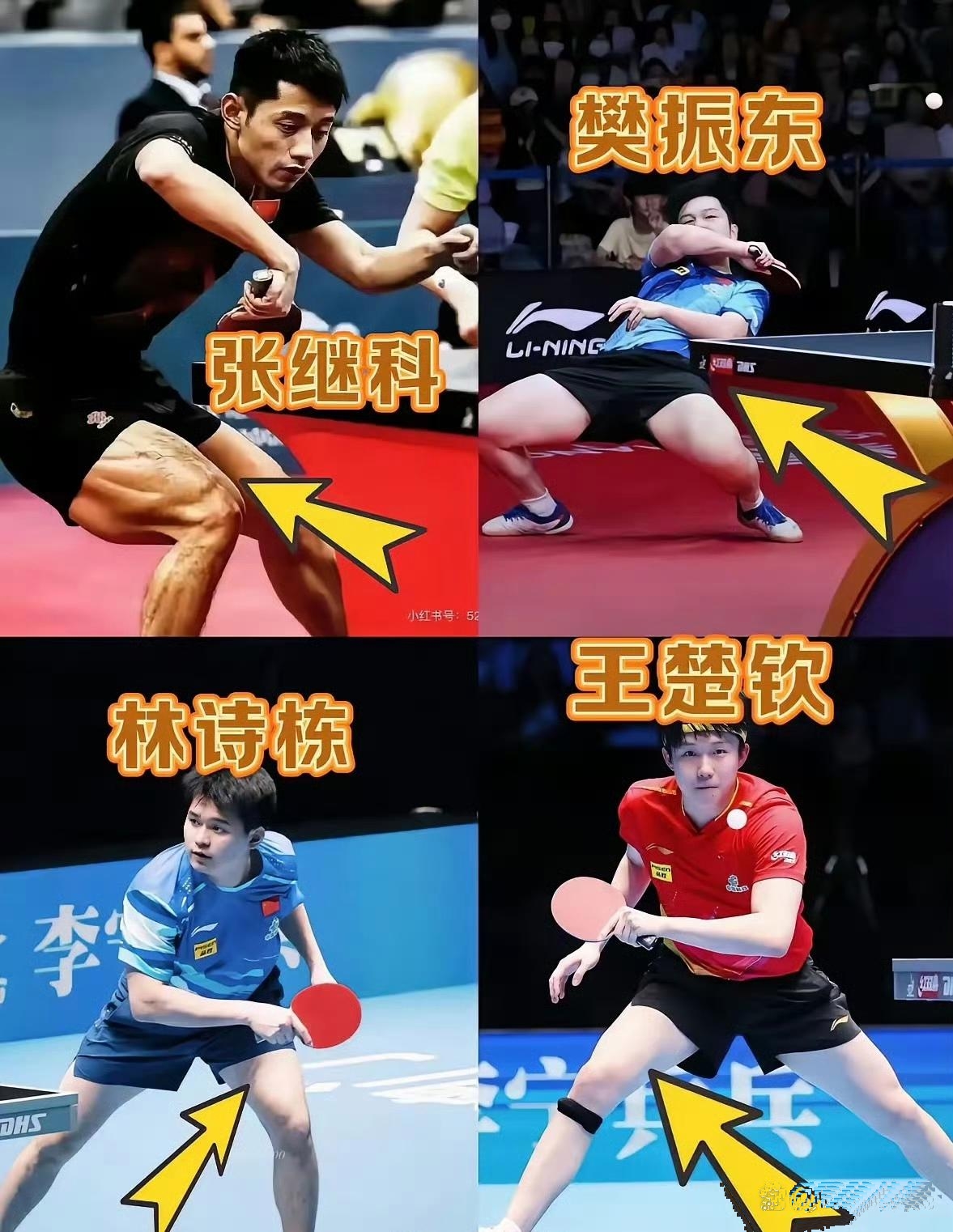 法国乒乓球队险胜德国乒乓球队，张继科完成帽子戏法的简单介绍