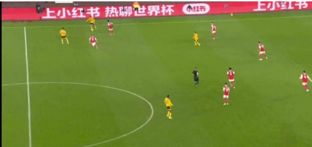 世界杯赔率刷新纪录，竞猜热度飙升