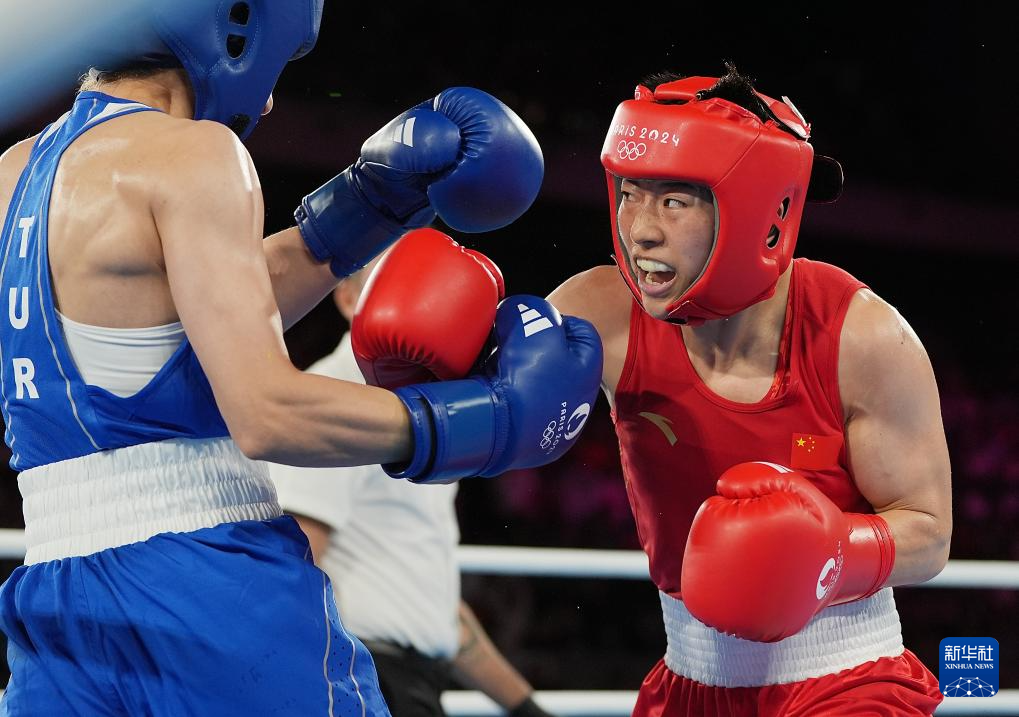 世界赛舞台，拳击代表国家出征荣耀的简单介绍