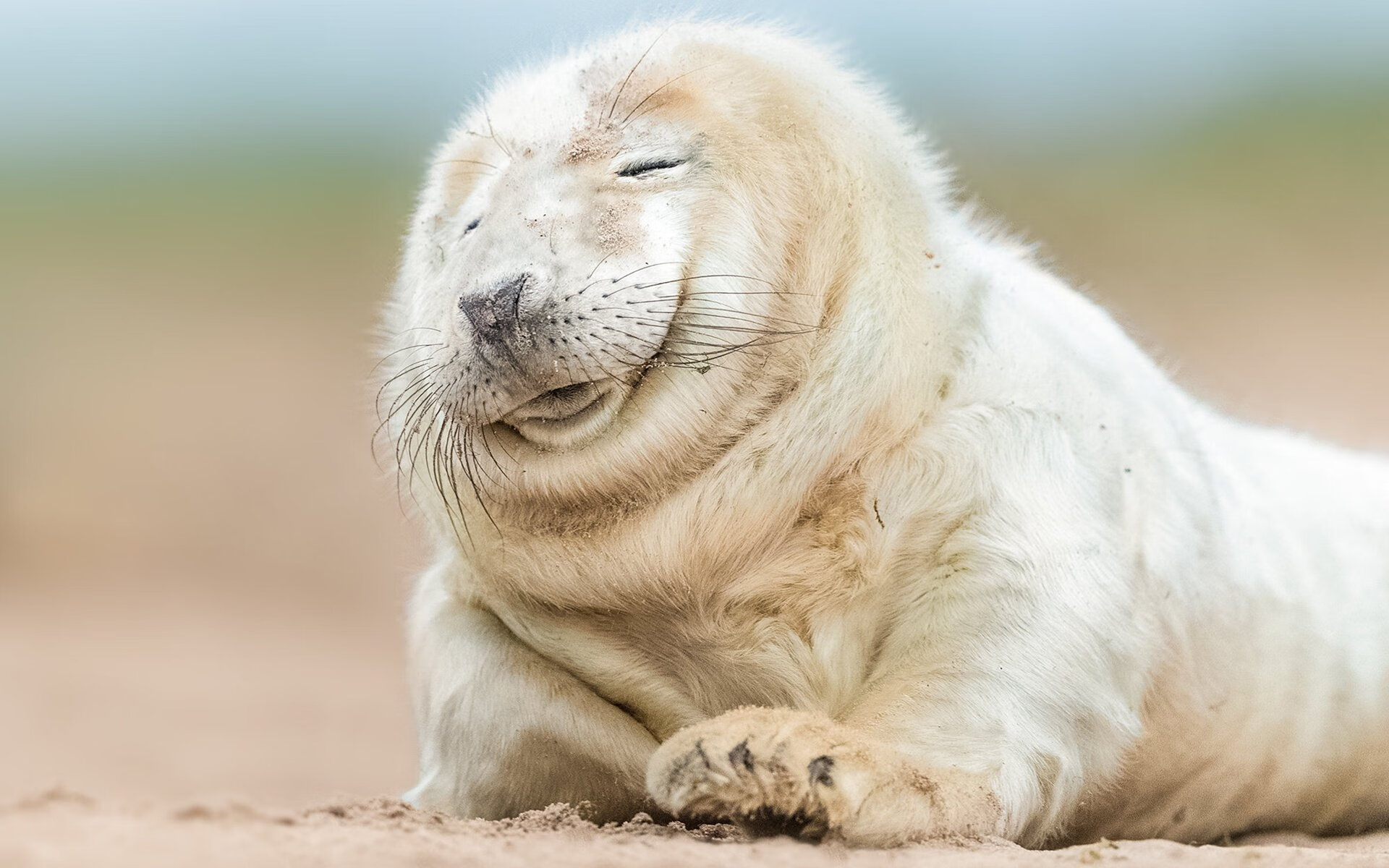 鏖战北境，公牛血战猛龙之夜，东契奇跨时空刷新历史