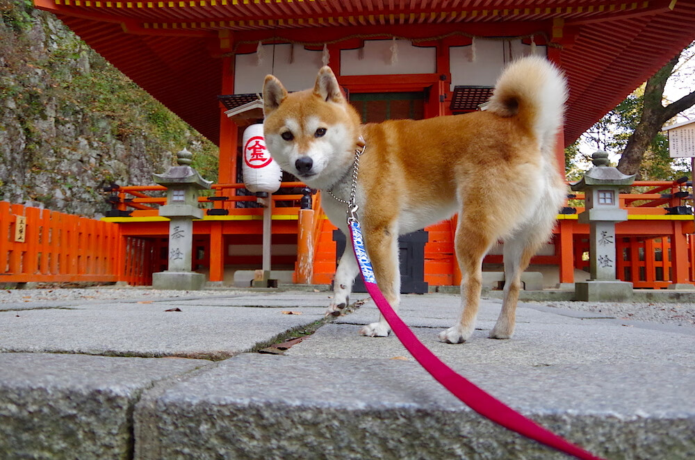胜负之上的唯一性
