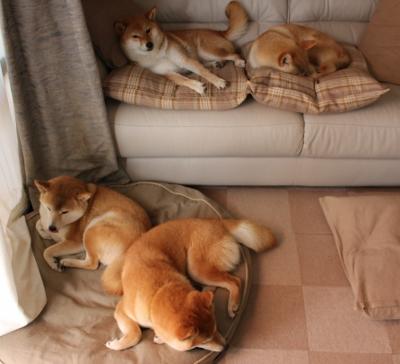 死亡缠绕,当福克斯改写了雷霆与爵士的剧本