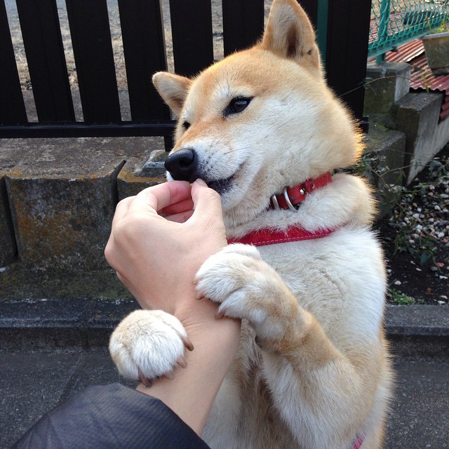 亚特兰大的雨夜奇迹,莫德里奇一锤定音,绝杀厄瓜多尔