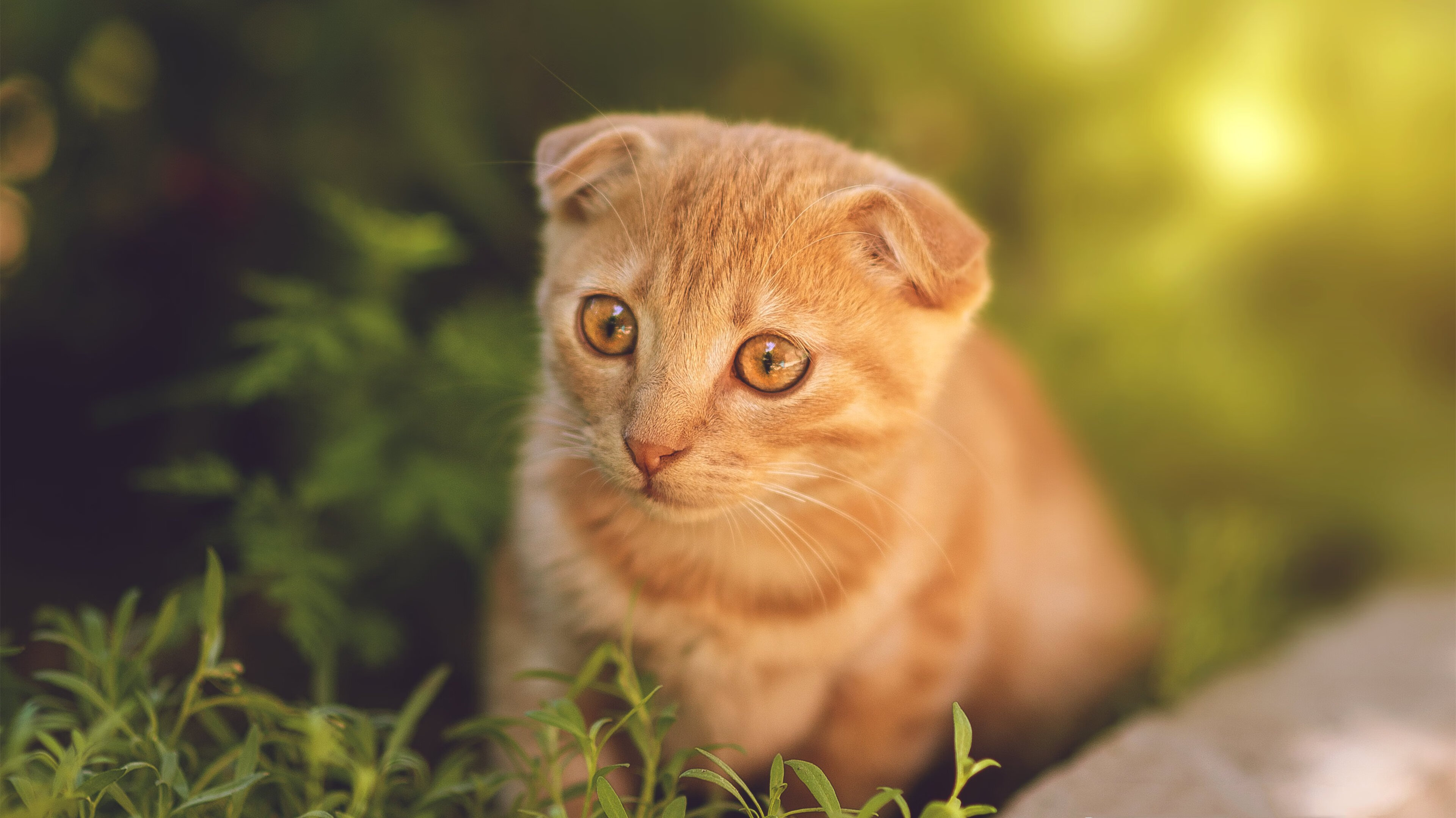 唯一,从洛杉矶到慕尼黑,胜利的密码从未改变