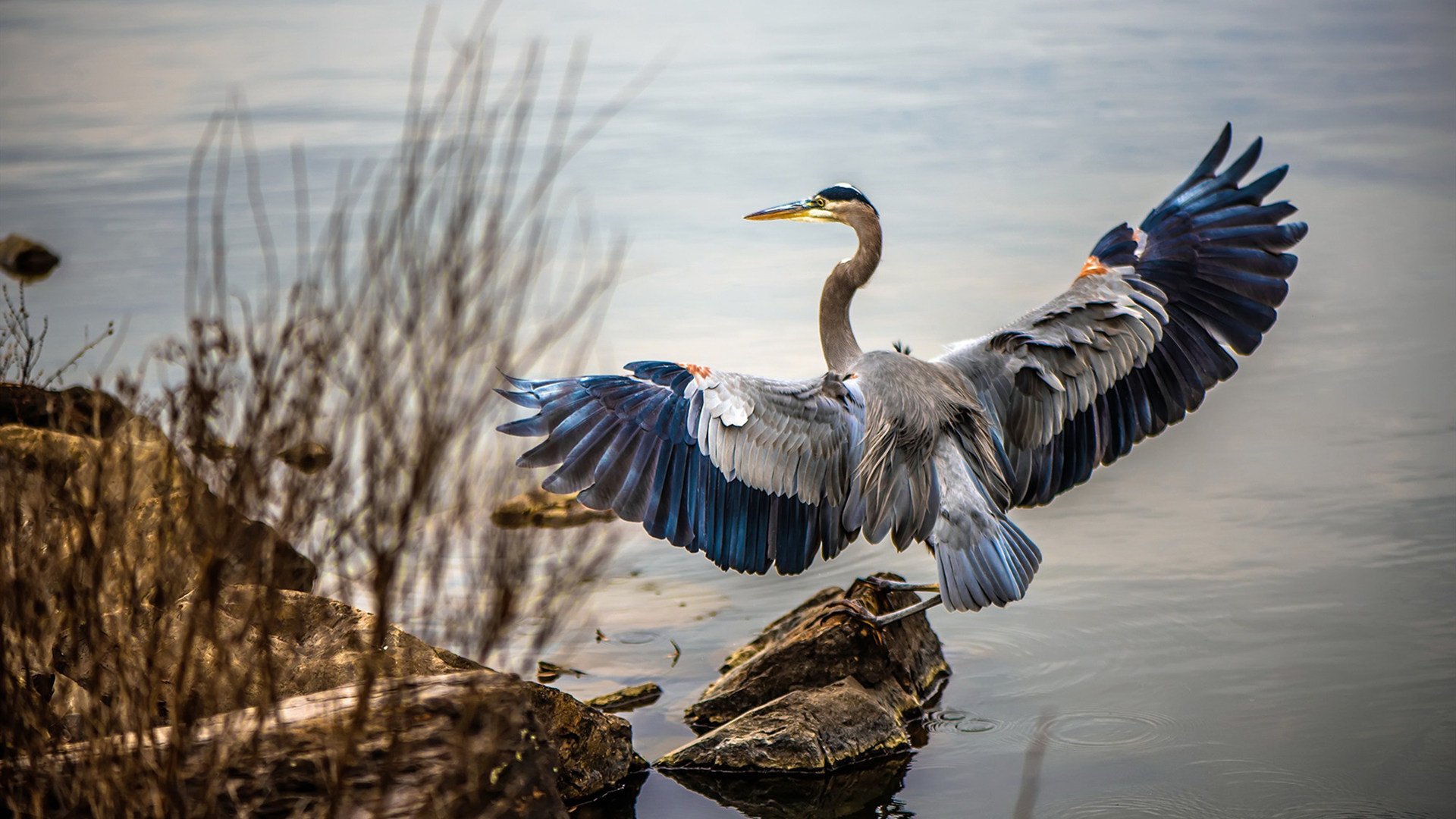 双重掌控,当战术压制遇见速度统治,胜利的唯一方程式