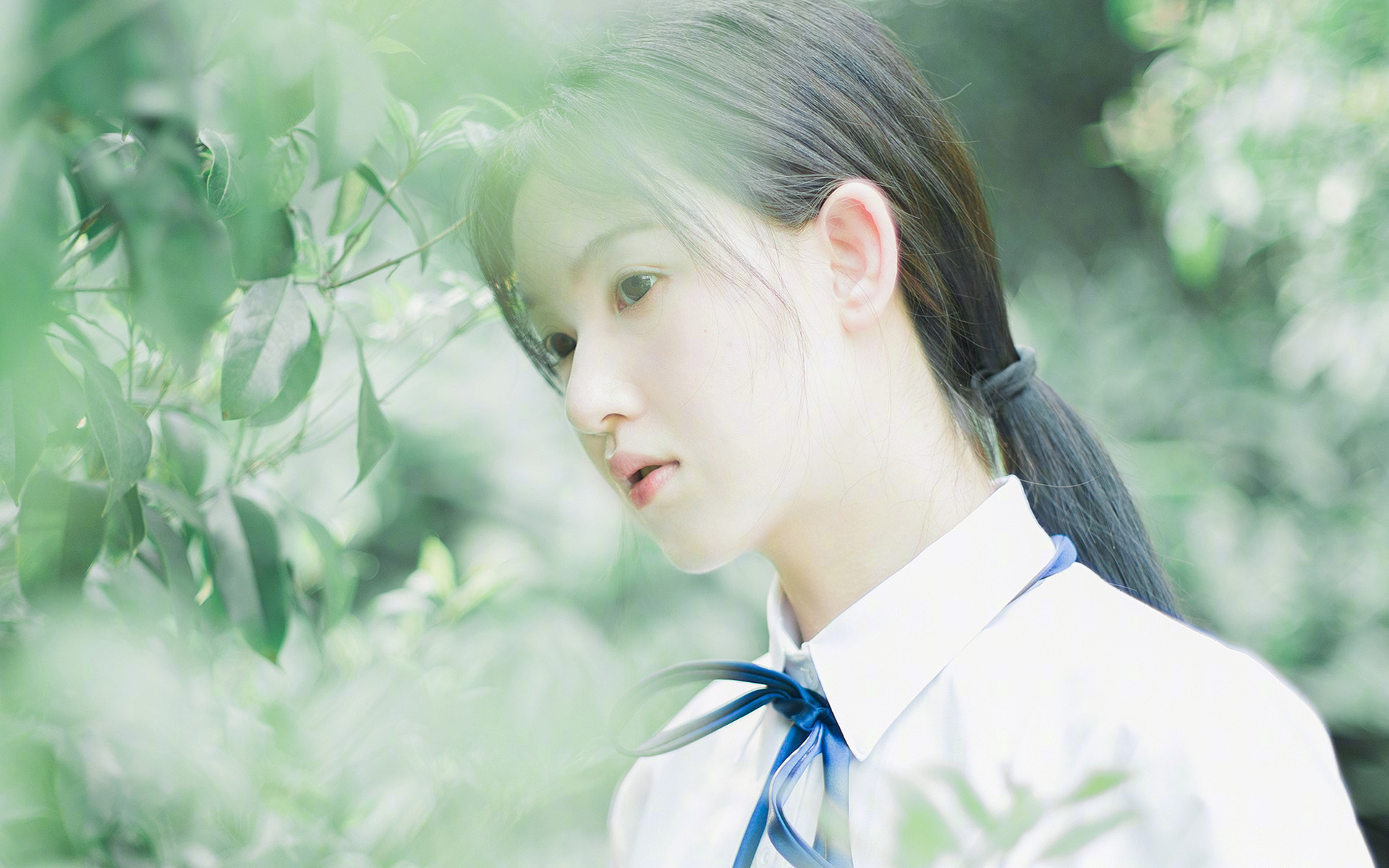 当锡安冲破了铁笼