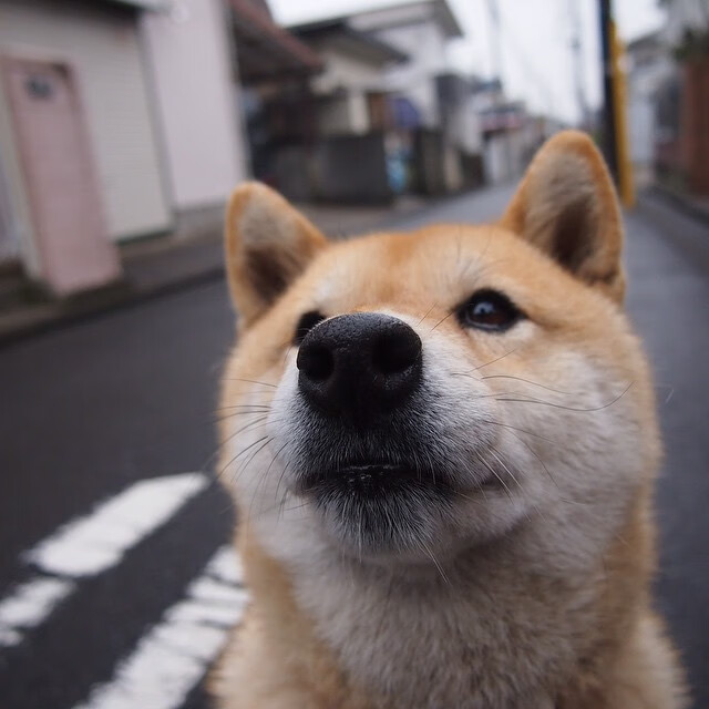 东方巨龙VS费城之光,文班亚马用一记世纪封盖完成终极正名