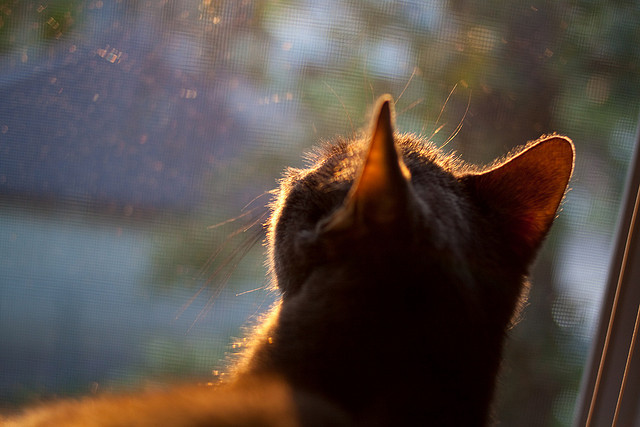 铁闸显威!卡瓦哈尔锁死对手右路走廊,高效克罗地亚兵不血刃轻取埃及