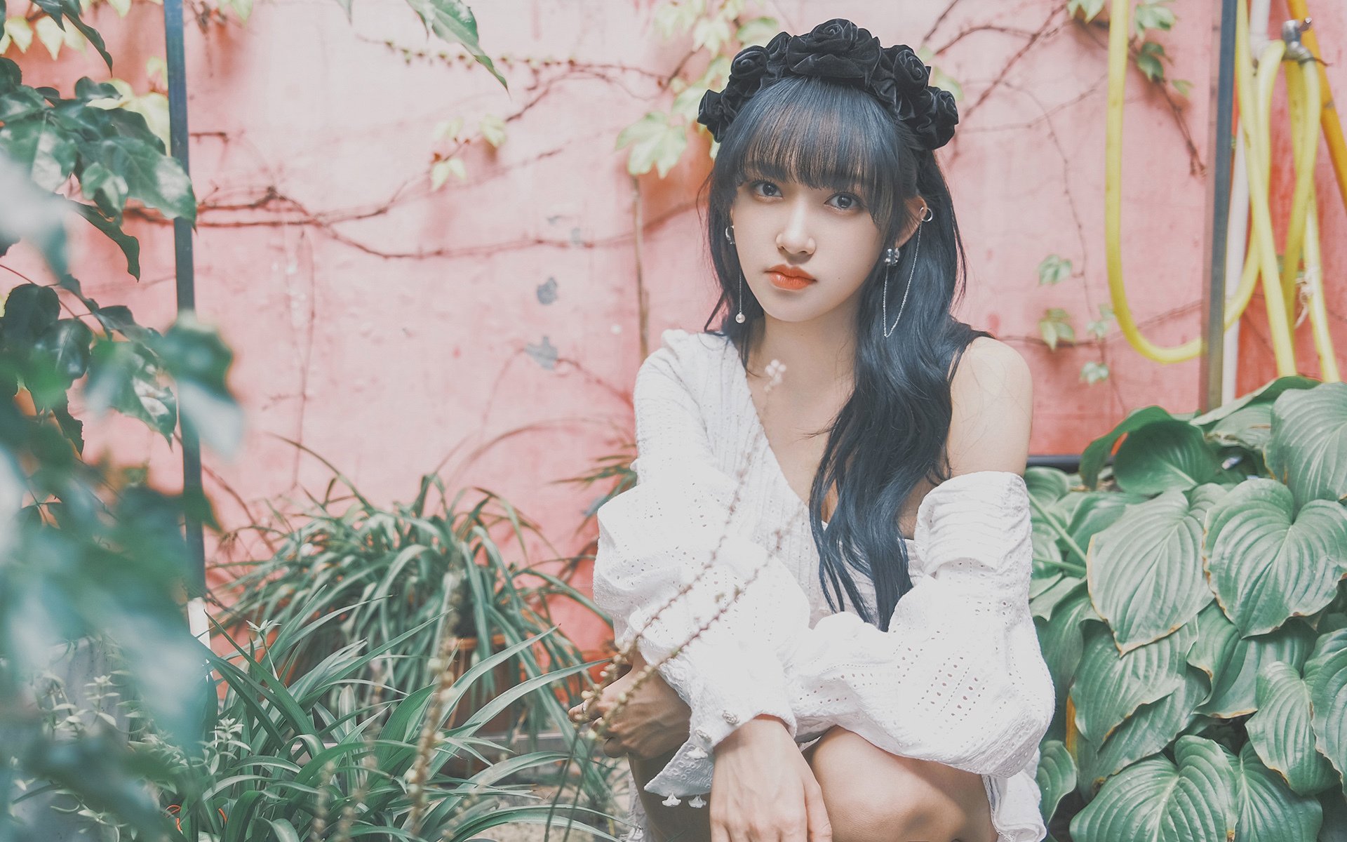 逆袭之夜,福克斯扮演关键先生,猛龙神奇翻盘吉林队