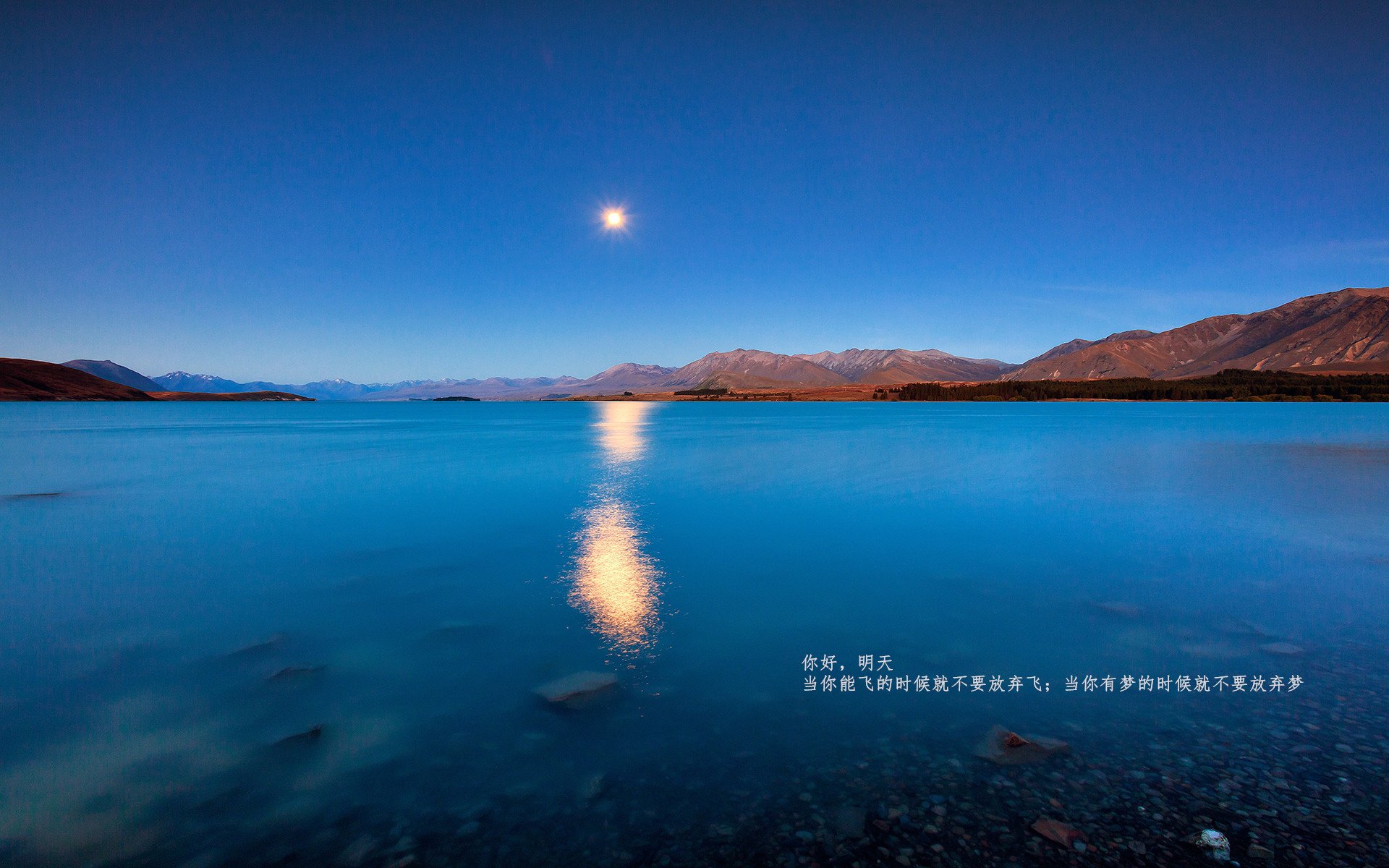 当大洋洲漩涡吞没欧洲灯塔,新西兰爆冷背后的足球地理学重组