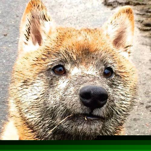 拉什福德爆发闪耀决胜局,亚特兰大险胜玻利维亚带走胜利