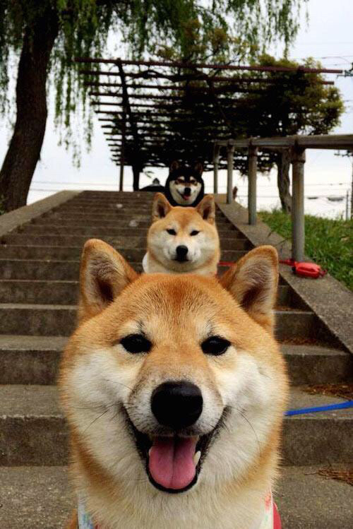 库里节奏完全掌控，热火如何凭借时间魔法拿下76人