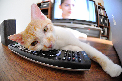 救赎之夜，阿劳霍的抢七封神时刻