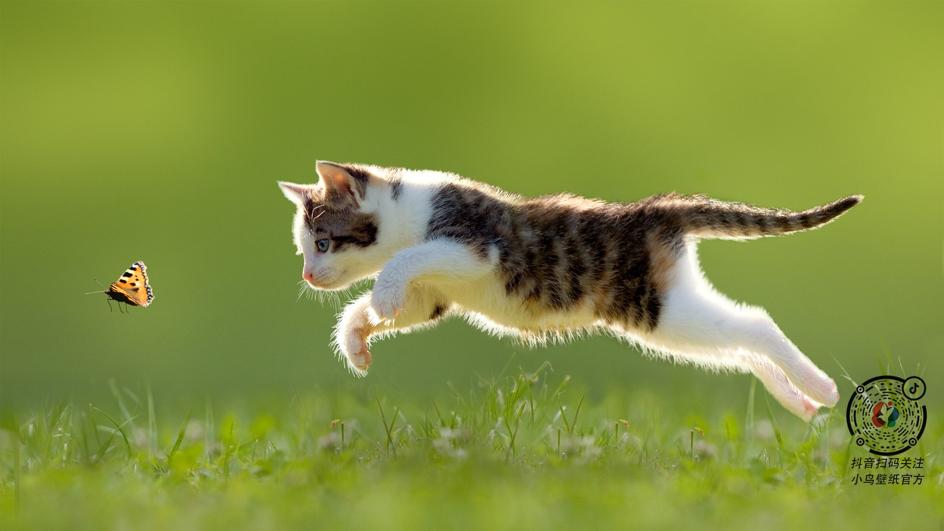 临界之光，绿茵密室的本泽马与他的永恒围困