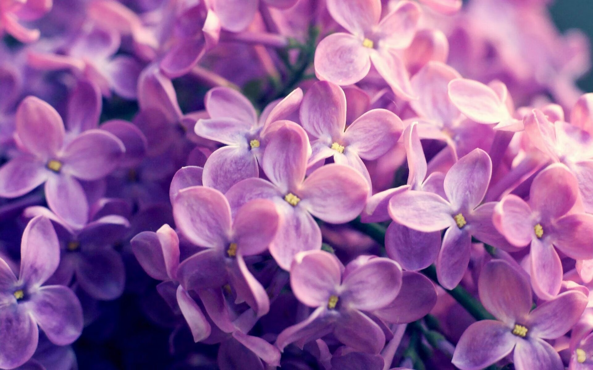 最后三秒的救赎，2026半决赛，德国绝杀阿联酋，梅西的最后一舞