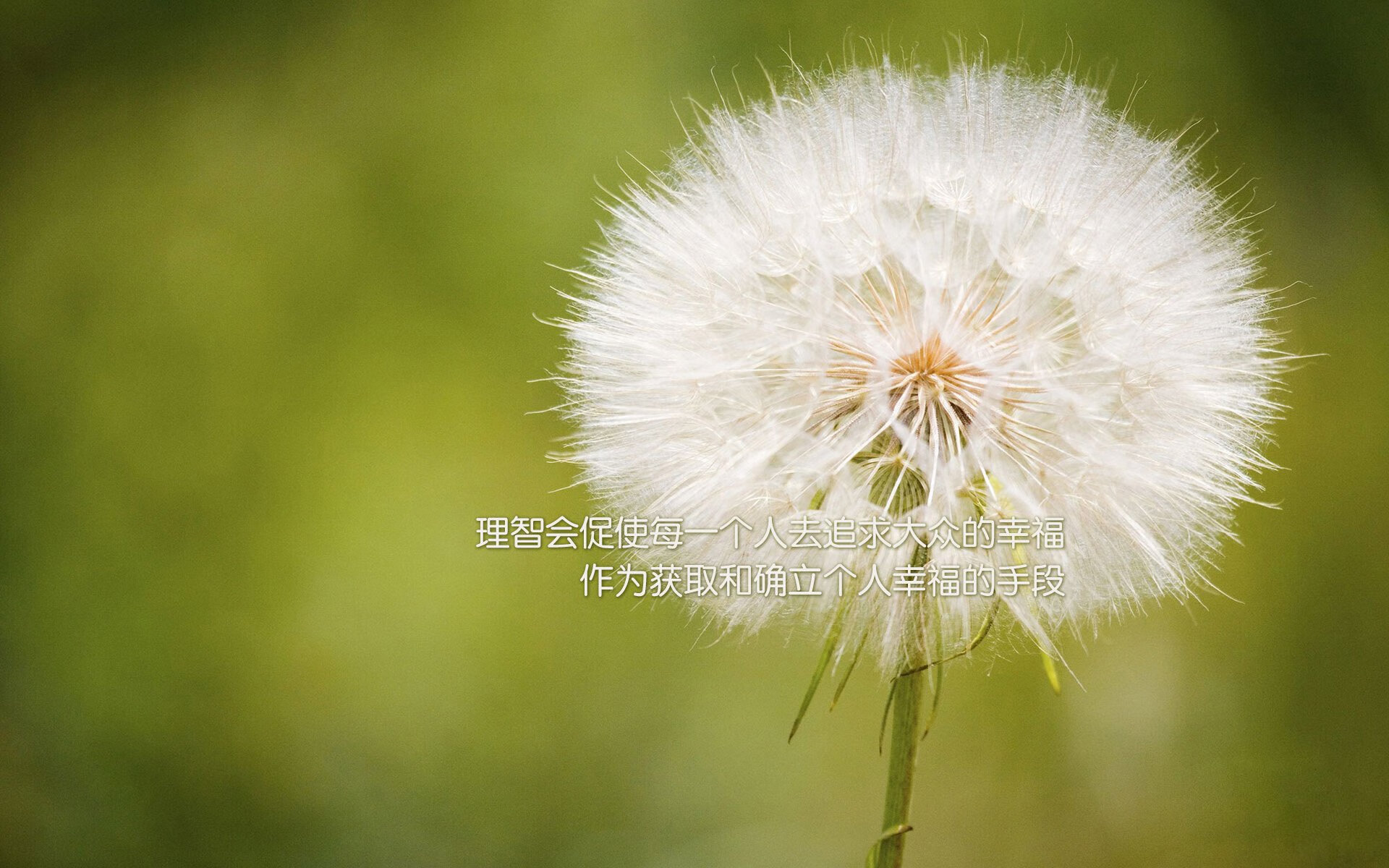 选一(新闻特写风格)