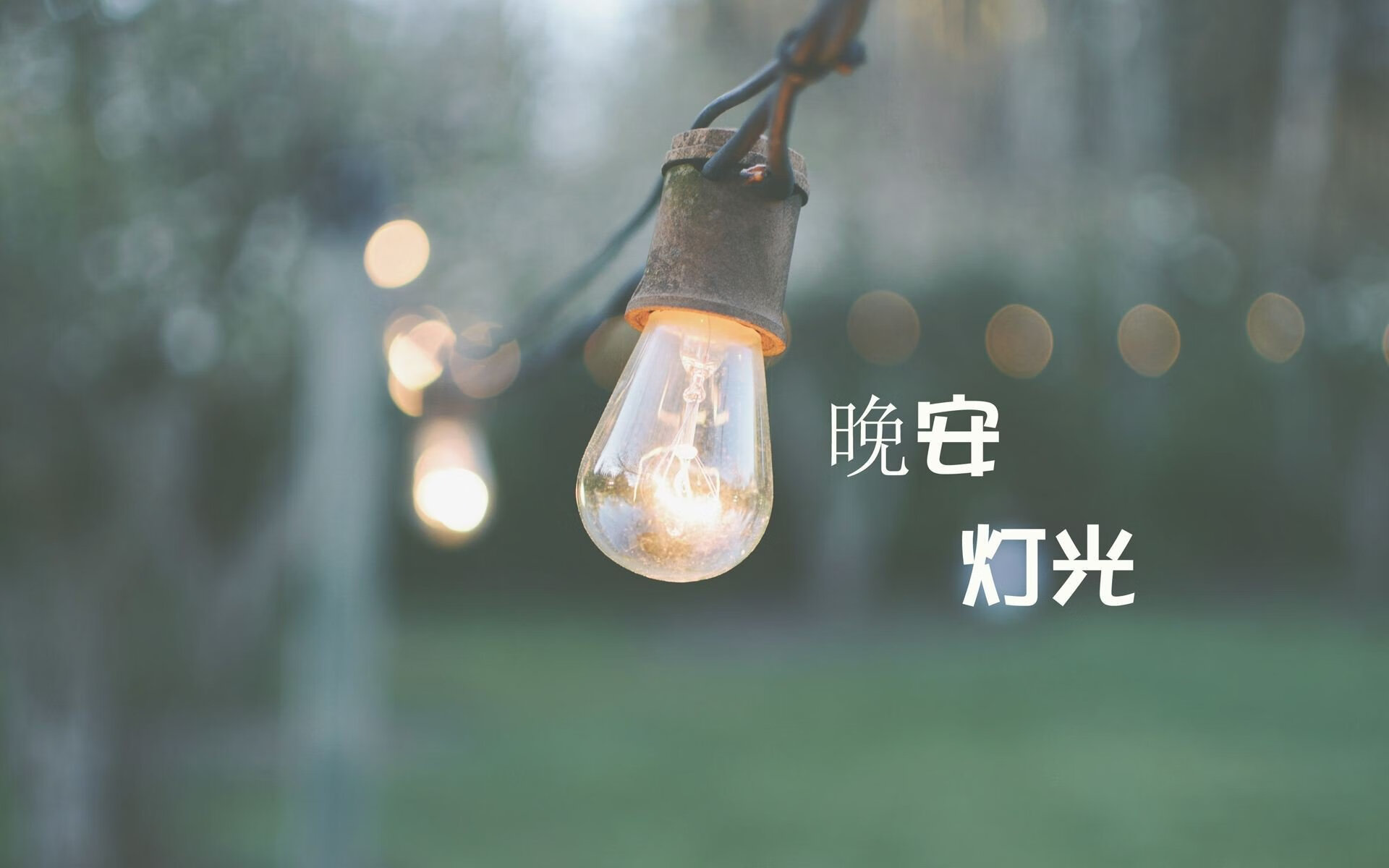 橙衣风暴席卷沙漠，德容掌舵，荷兰以横扫之势宣告王者归来