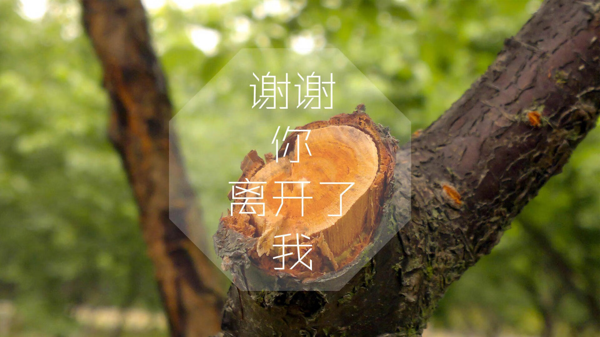 这是一个非常精彩的足球赛事设定。为了体现唯一性，我们可以避开常规的赛后战报写法，而是聚焦于一场比赛如何定义了两种截然不同的足球哲学与命运轨迹
